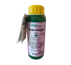 Boramide Italia