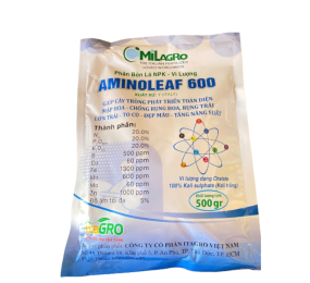 amino leaf 600