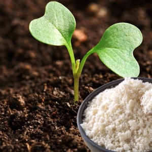 phan-bon-goc-chinh-hang-giai-phap-ben-vung-cho-nong-nghiep-tai-dak-nong