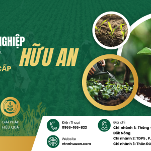 mua-mua-canh-giac-sau-benh
