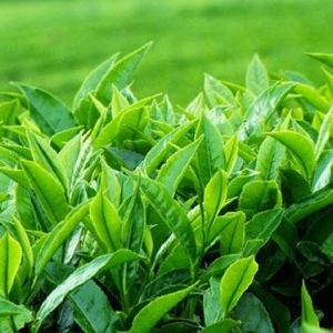 vat-tu-nong-nghiep-dak-nong-giai-phap-toan-dien-cho-ba-con-nong-dan