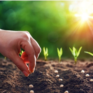 thuoc-tru-nam-cay-trong-bao-ve-cay-khoe-manh-nang-suat-ben-vung-tai-dak-nong